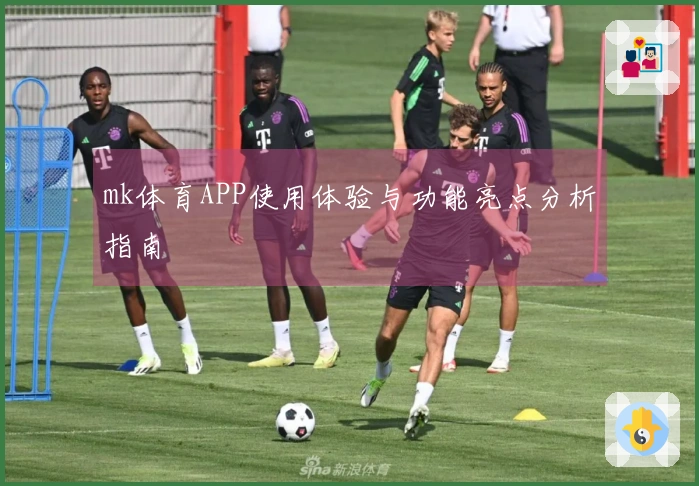 mk体育APP使用体验与功能亮点分析指南